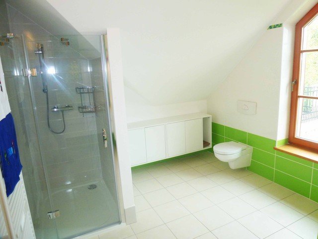 Rekonstrukce koupelny - po přistavění příčky vznikla netypická nika se zkoseným stropem, sprchové dveře Gelco | Litomyšl